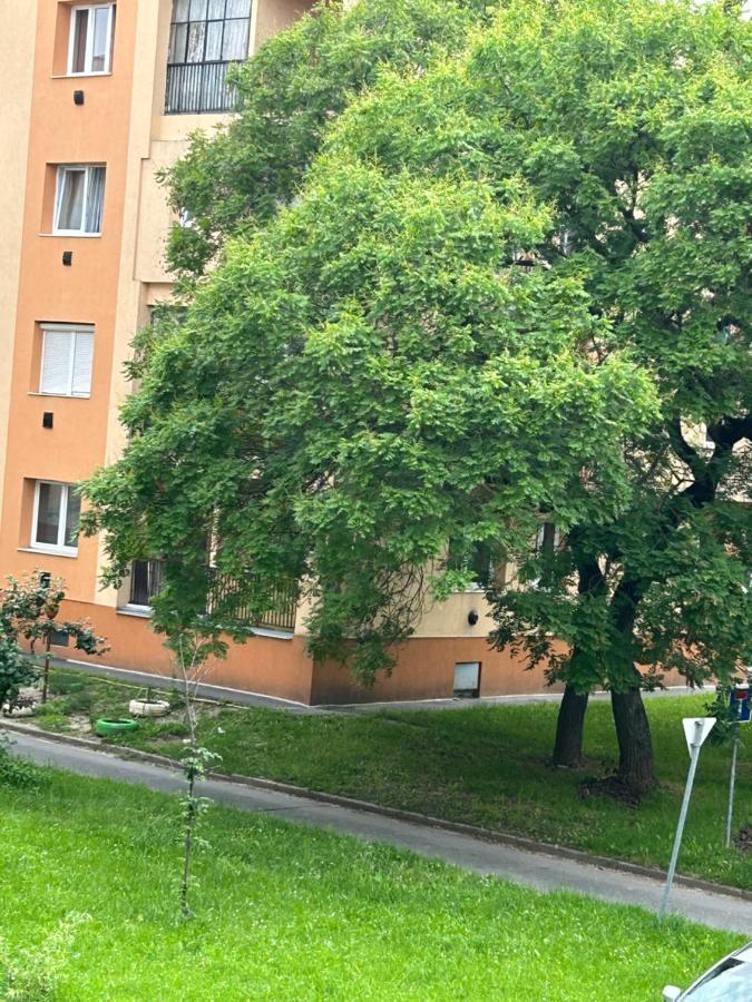 Sophie'S Urban Nest Apartment Miskolc Bagian luar foto