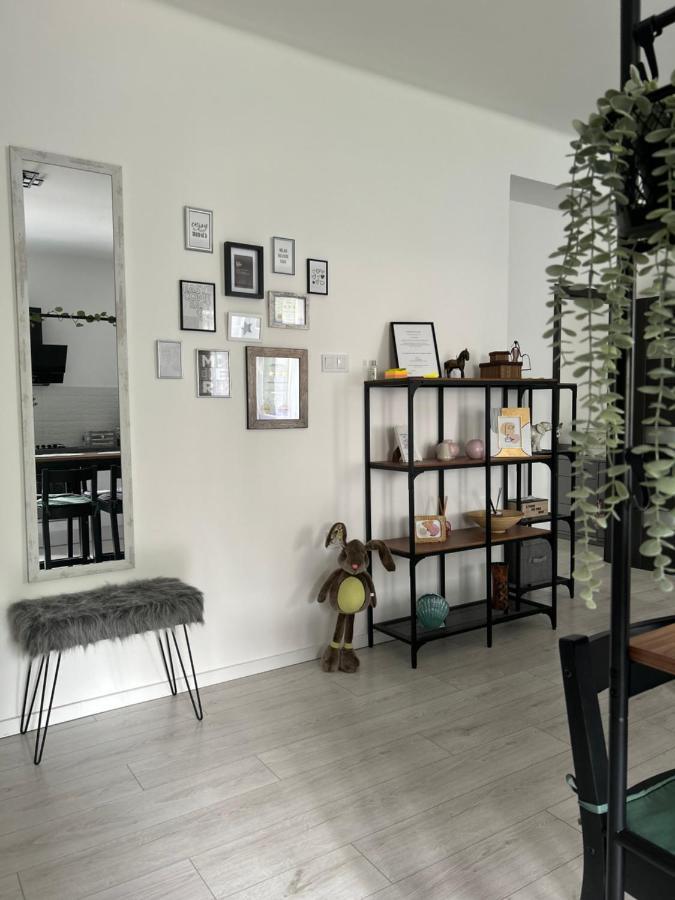 Sophie'S Urban Nest Apartment Miskolc Bagian luar foto